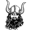 589_VIKING06