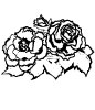 635_Rose4