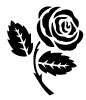 639_Rose8