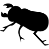 727-Beetle