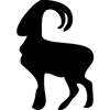 728-Bighorn-Sheep