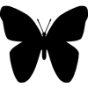770-Butterfly-04