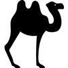 774-Camel-04