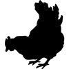 806-Chicken-06
