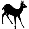826-Deer-02