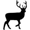 827-Deer-03