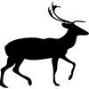 828-Deer-04