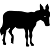 896-Donkey-06