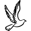 899-Dove-Flying
