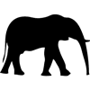 916-Elephant-04