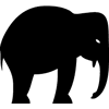 918-Elephant-06