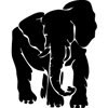 923-Elephant-11