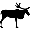 928-Elk-05