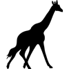 955-Giraffe-1