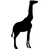 957-Giraffe-3