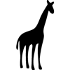 958-Giraffe-4