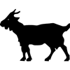 965-Goat-04