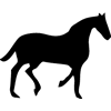 994-Horse-10