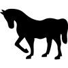 997-Horse-13