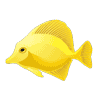 FC-195-Fish-01