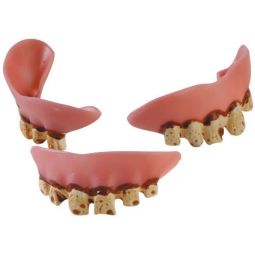 Joe Bob Teeth