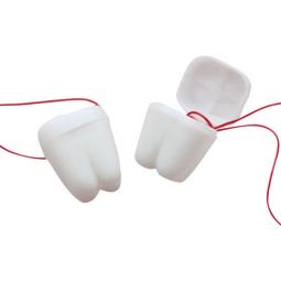 Tooth Keeper Necklace - Individually Bagged