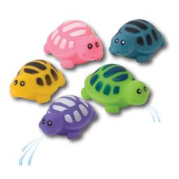 Squirt Turtle