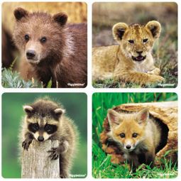 Baby Animal Sticker