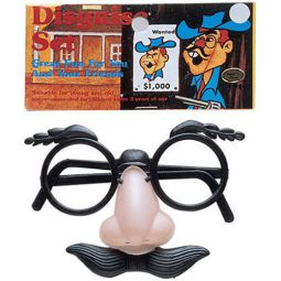 Disguise Set