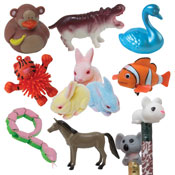 Animals, Bugs & Reptiles