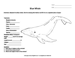 Middle School Worksheets