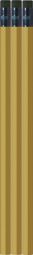 Gold Pencils - Hexagon - Blank