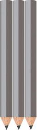 Silver Golf Pencils - Hexagon - Blank