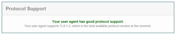 Your user agent has good protocol support