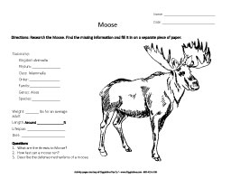 Research the Moose