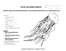 Research the Pacific Sea Nettle Jellyfish
