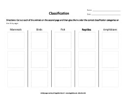 Classification